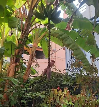 La Clémente Menton