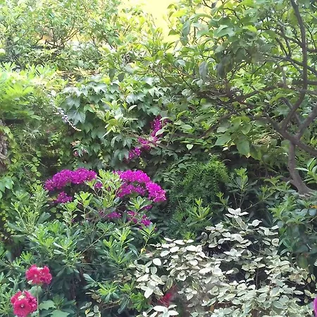 Séjour chez l'habitant La Clémente *