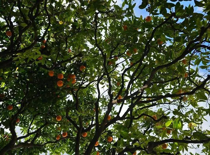 Quarto em Acomodações Particulares La Clemente