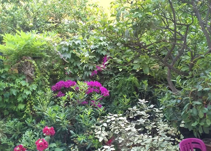 Séjour chez l'habitant La Clémente *