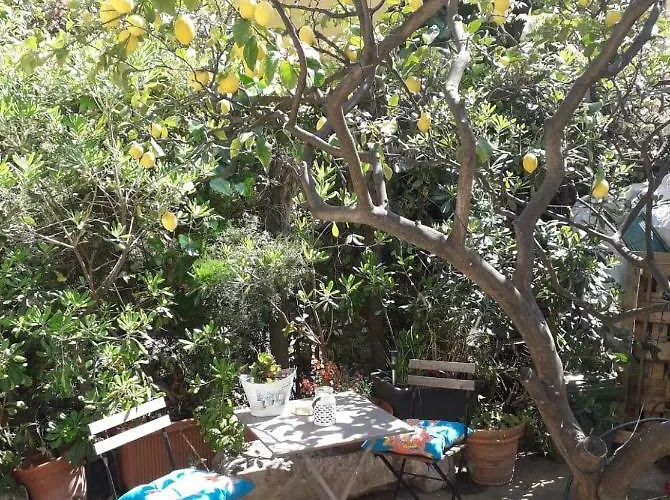 La Clemente * Μεντόν